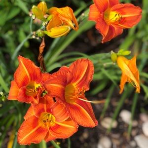 Meet your Posher, Marissa